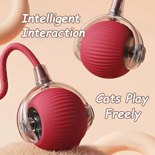 Intelligent Interactive Pet Ball – Self-Moving, Durable & Rechargeable Toy for Cats & Dogs