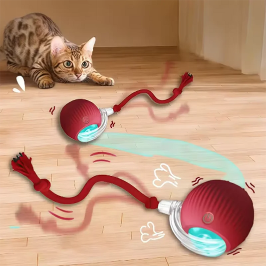 Intelligent Interactive Pet Ball – Self-Moving, Durable & Rechargeable Toy for Cats & Dogs