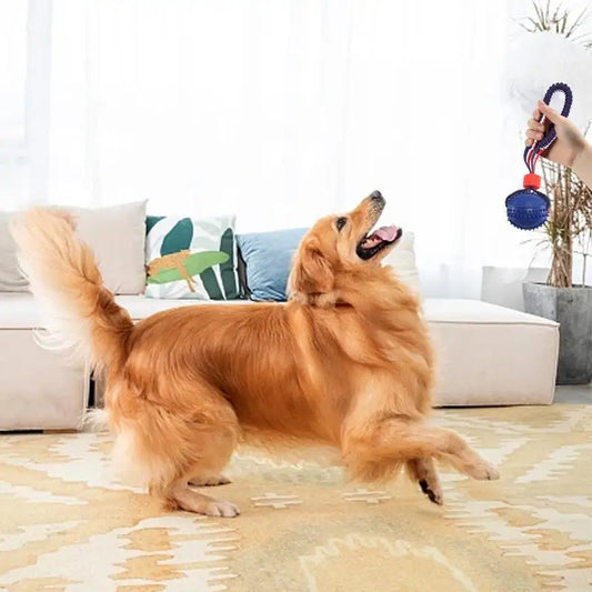"Interactive Dog Chew Ball – Fun, Durable & Perfect for Training!